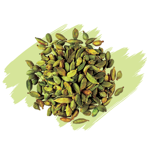 Cardamom