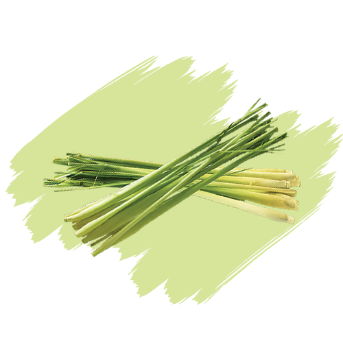Citronella
