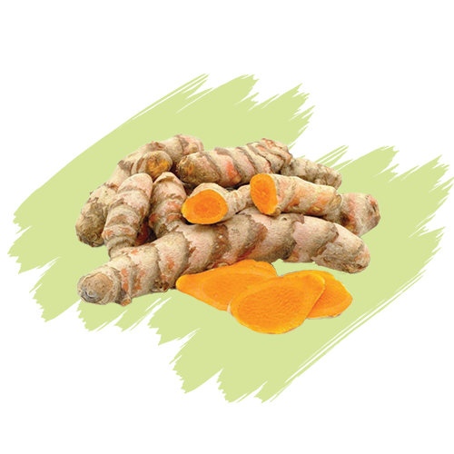 Turmeric