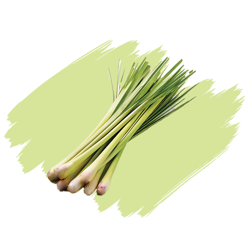 Lemongrass