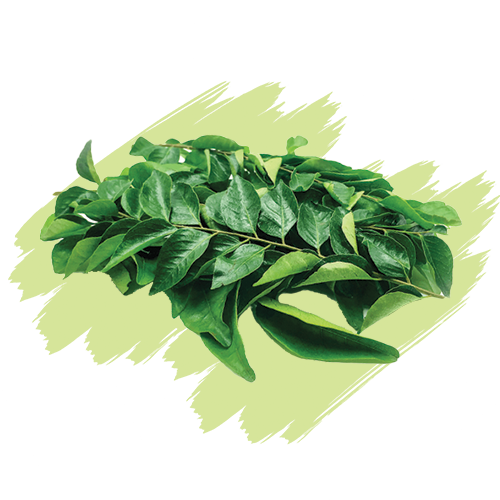 Curry Leaves