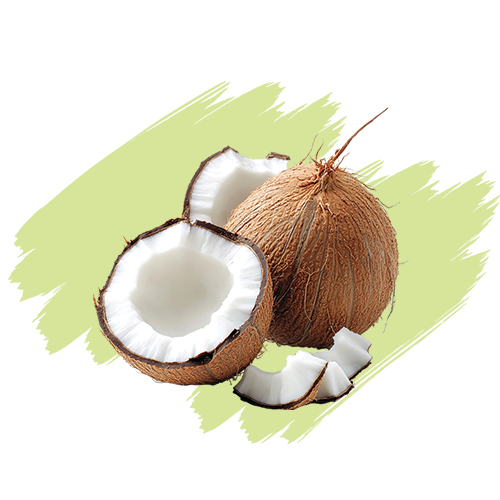 Coconut